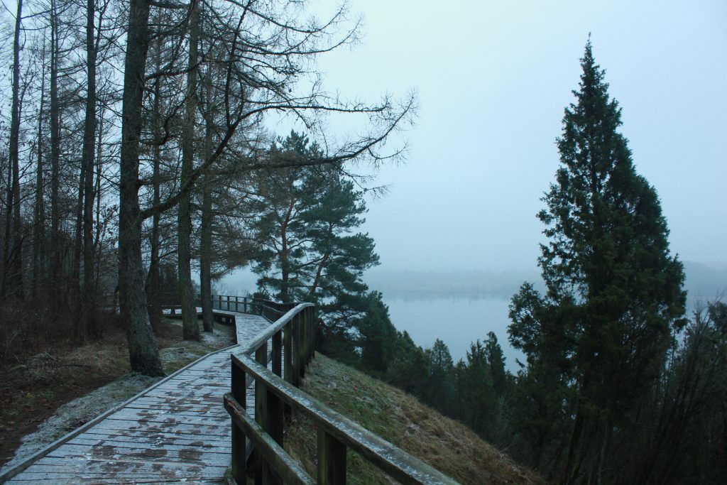 Kadagio slienis