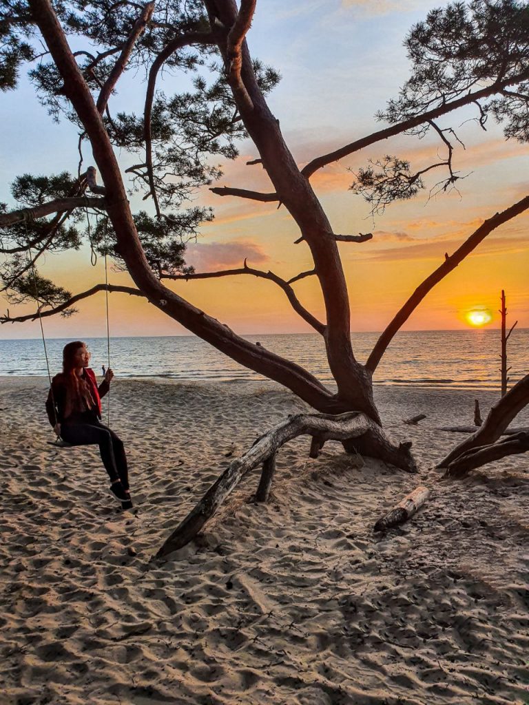 Geodeziya bosh tayanch geodeziya tarmogi