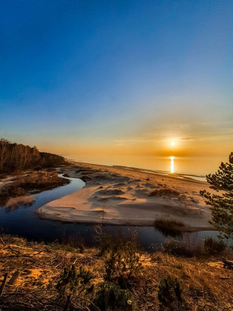 Murmanskdagi klubda jinsiy aloqa