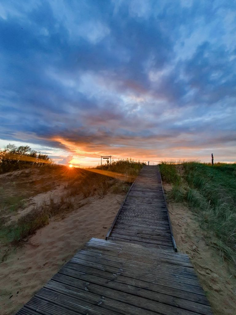 Dom2 ishtirokchilarining jinsiy aloqa videolari