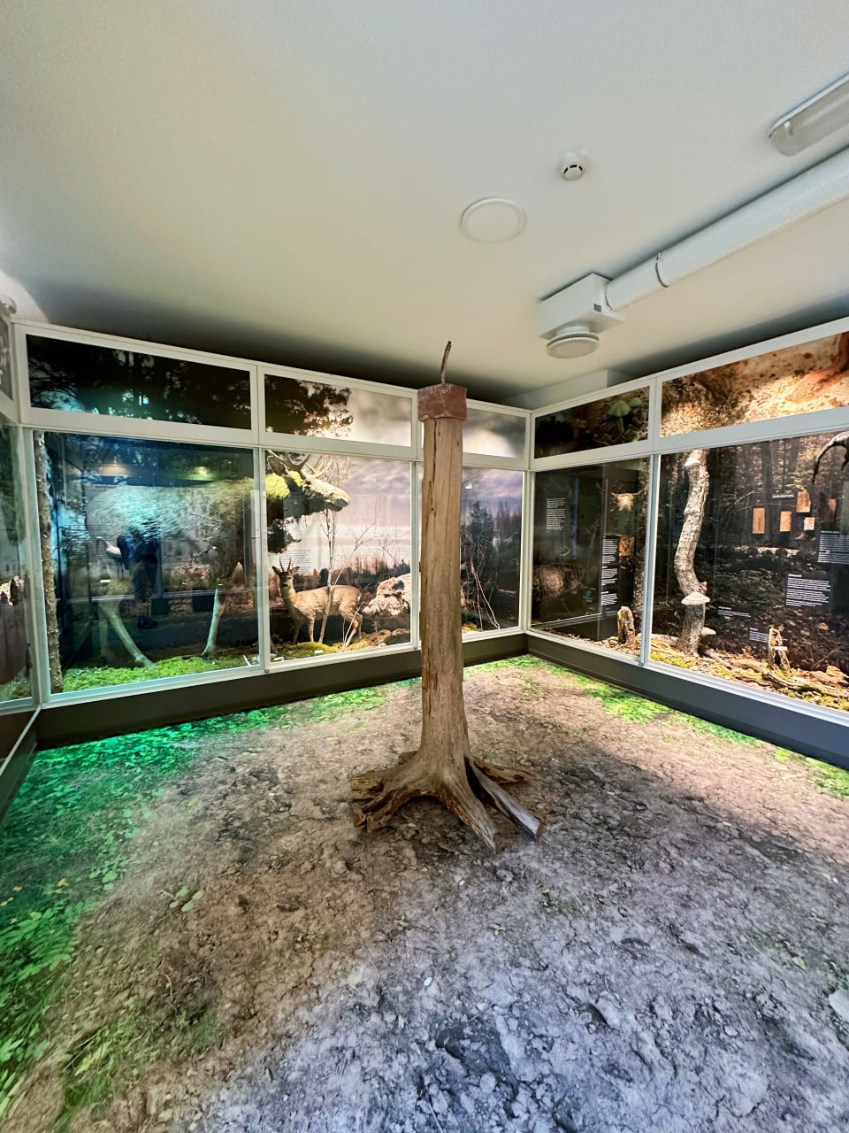 Loodusmuuseum Tallinn Eesti Visit Baltics
