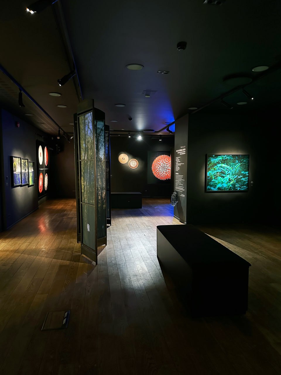 Loodusmuuseum. Tallinn, Eesti