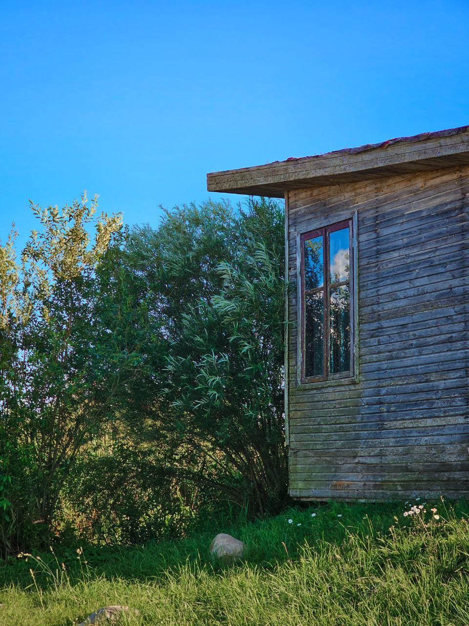 Смотровая площадка у озера Дурбес. Латвия