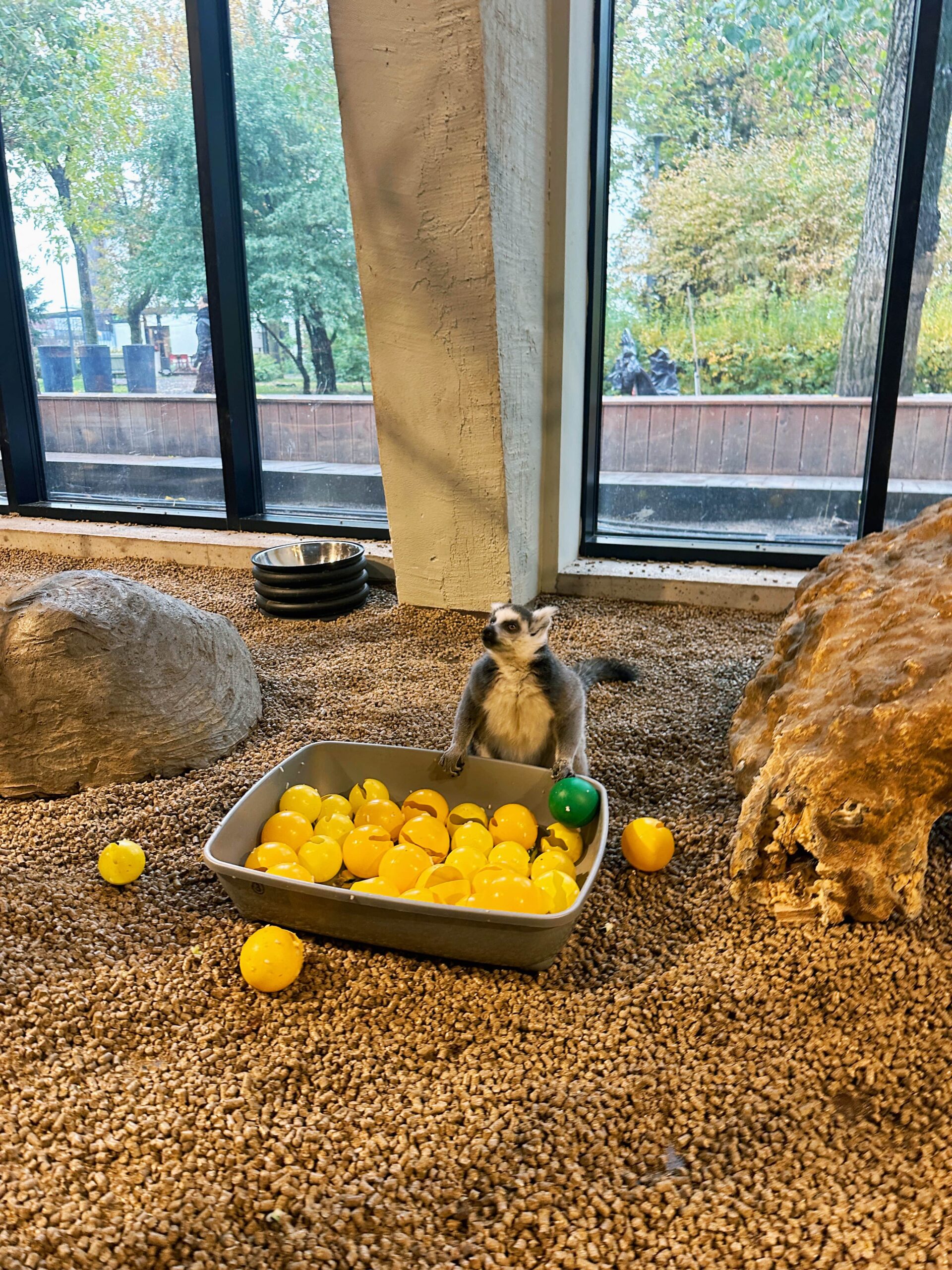 Vilnius Zoo, Lithuania